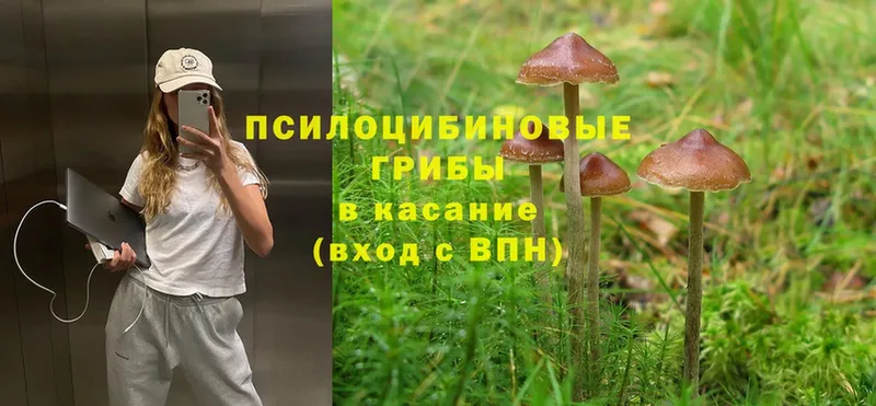 наркота  Белая Калитва  Псилоцибиновые грибы MAGIC MUSHROOMS 